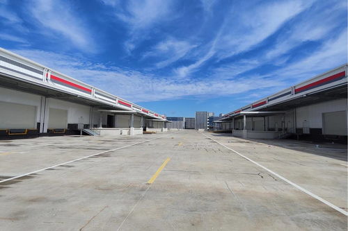 四川順豐物流園一期建成，成都空港再添發(fā)展新引擎